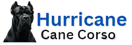 hurricanecanecorso.com